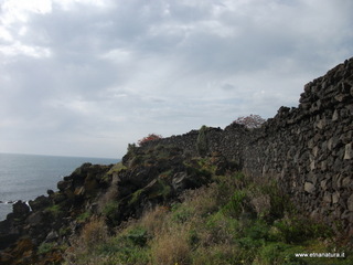 zzena-07-04-2013 08-32-38